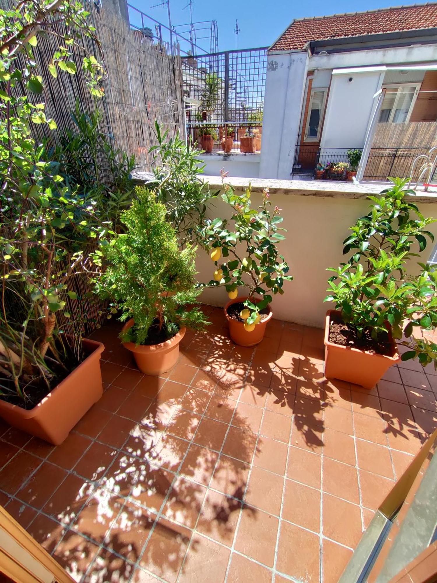 Bed and Breakfast La Dimora Degli Artisti Pescara Zimmer foto